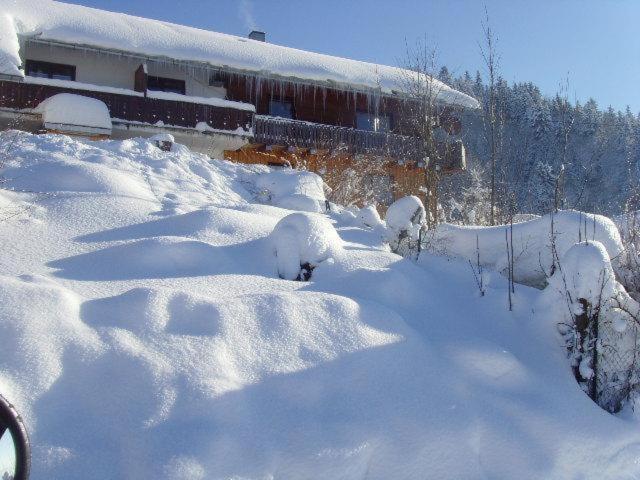 Leihwohnwagen Camping-aach Campsite *